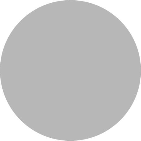 GRIS MOON