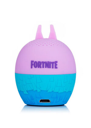 Bitty Boomers Fortnite Llama
